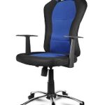 Xtech Silla gamer DRAKON con respaldo alto deportivo