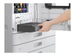 Epson AM-C4000/5000/6000 Maint Box - Imagen 2